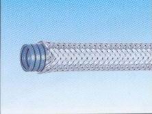 EW-PAP���Ÿ�����������