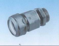 �����¼н�������CSKV��ͷ